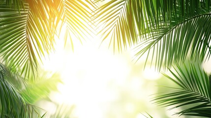PNG palm leaves used as a border background.