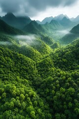 Obraz premium Lush green mountains and valleys shrouded in mist