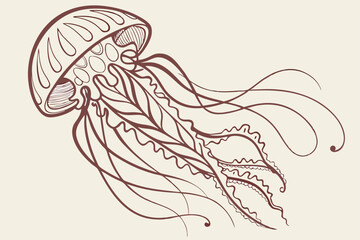  Jellyfish illustration, vintage scientific drawing, pale cream color, intricate tentacles, flowing organic form, detailed anatomy, translucent bell, marine biology textbook style, muted tones, delica
