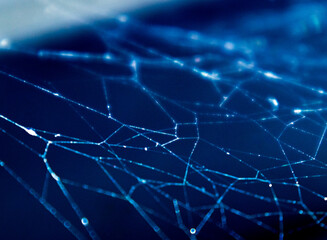 Abstract network concept with information travels in the web. Concept of technology.