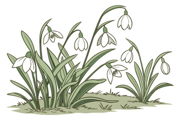 White spring flowers, lush green foliage, botanical garden border, fresh blooming plants, delicate petals, vibrant nature scene, soft natural lighting, high detail, macro photography, isolated on whit