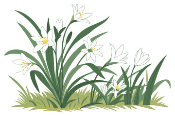 White spring flowers, lush green foliage, botanical garden border, fresh blooming plants, delicate petals, vibrant nature scene, soft natural lighting, high detail, macro photography, isolated on whit