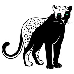 black cat illustration