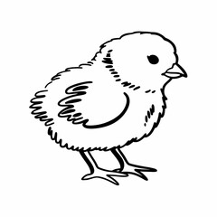 illustration of a bird
