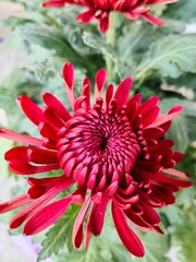 Lush greenery, golden sunlight, and serene landscapes&mdash;each photo captures the timeless beauty and quiet magic of the natural world.