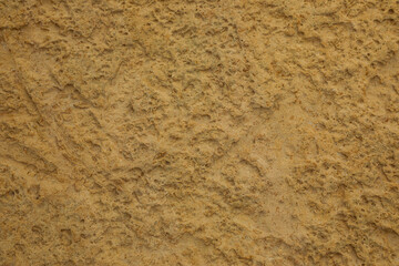 Structured sandstone background, from which many buildings are built, including fortress walls