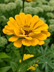 Lush greenery, golden sunlight, and serene landscapes—each photo captures the timeless beauty and quiet magic of the natural world.