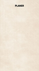 Fototapeta premium Planner: A clean, minimalist cover design with a simple inscription PLANIER hinting at planning, organization, and a structured approach.