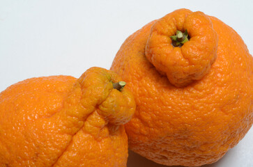 oranges