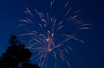 Golden fireworks burst in the night sky over silhouetted trees
