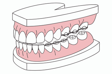Dental model, realistic teeth, gums, 3D render, anatomical, orthodontics, dentures, oral health, medical illustration, close-up, detailed, symmetrical, pink gums, white enamel, glossy texture, educati