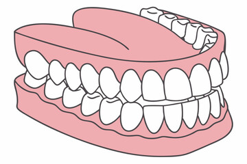 Dental model, realistic teeth, gums, 3D render, anatomical, orthodontics, dentures, oral health, medical illustration, close-up, detailed, symmetrical, pink gums, white enamel, glossy texture, educati