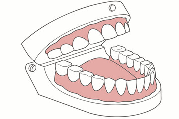 Dental model, realistic teeth, gums, 3D render, anatomical, orthodontics, dentures, oral health, medical illustration, close-up, detailed, symmetrical, pink gums, white enamel, glossy texture, educati