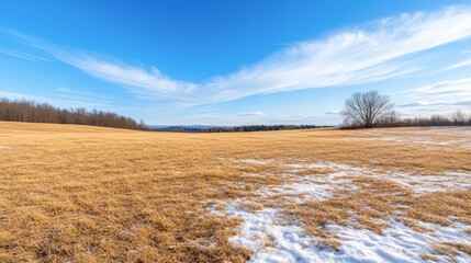 A vast, serene landscape features a golden field transitioning to patches of snow under a clear blue sky, Ideal for nature-themed projects, seasonal marketing, or tranquility-focused content,