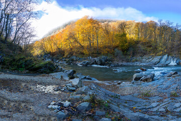 morning in a mountainous area, frost falling on the trees, the first rays of the sun awaken nature