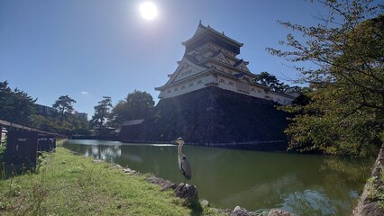 お堀に佇むサギと小倉城