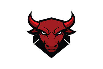 bull head isolated on white