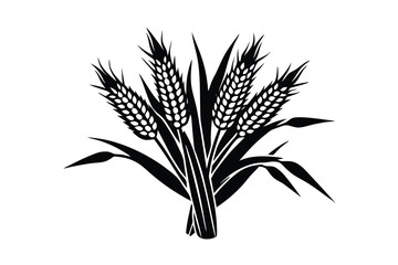 wheat ears isolated on white