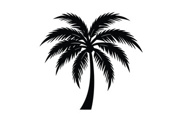 Obraz premium palm tree silhouette
