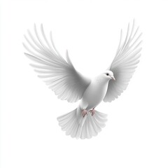 Obraz premium A white dove is flying freely in the air, its wings elegantly outstretched. The serene scene highlights the bird's purity and grace, surrounded by an unblemished white sky