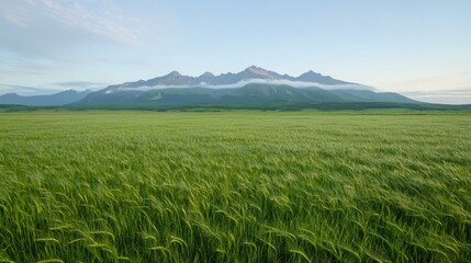 Fototapeta premium Mountainous landscape, green field, sunrise, calm. Ideal for travel brochures