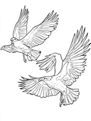 Fototapeta premium Birds in flight line drawing for coloring