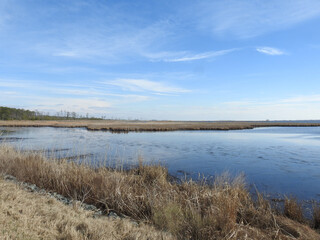 The scenic beauty of the Blackwater National Wildlife Refuge, during the winter season. Dorchester County, Maryland. 