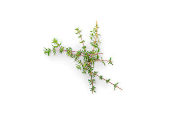 Organic stem of fresh thyme from the garden on a transparent background with shadow, top view, png