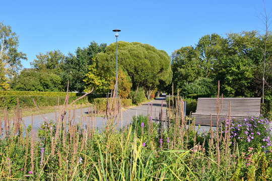 City park in early autumn in Moscow in Russia - Powered by Adobe