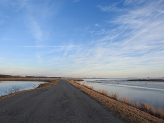 It is a breathtaking experience to drive through the Blackwater National Wildlife Refuge, during the winter season.