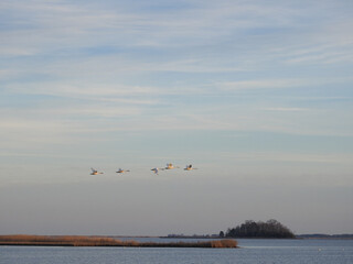 The scenic beauty of the Blackwater National Wildlife Refuge, during the winter season. Dorchester County, Maryland. 
