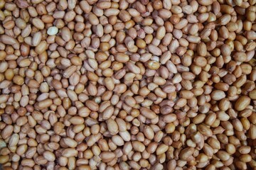 photo of a pile of peanuts