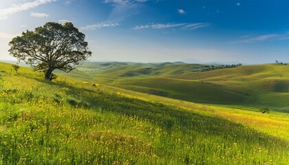 Experience the beauty of endless grasslands.  