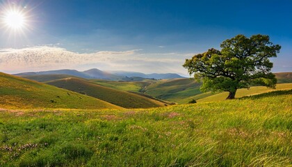 Fototapeta premium Endless grasslands offer a peaceful retreat. 