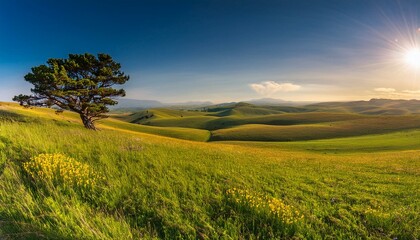 Obraz premium Capture the beauty of grasslands through photography. 