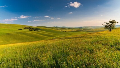 Fototapeta premium Explore the vastness of expansive grasslands. 