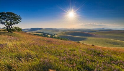 Obraz premium Witness the dance of grasses in the wind. 