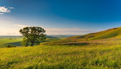 Obraz premium The beauty of grasslands captivates the heart. 