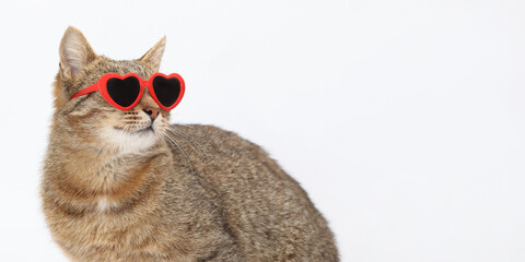 Stylish tabby cat in red heart-shaped sunglasses, perfect for Valentine's Day and love-themed designs. Great for greeting cards, wallpapers, or creative projects. Isolated on white background.