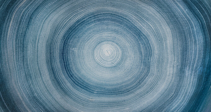 Blue gray white stamp impression of end grain of wood slab. Tree rings ripples art with texture and cracked surface.