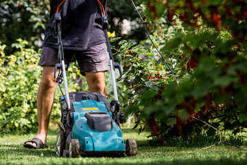 A man with a lawn mower mows the grass in the backyard. Agricultural machinery for garden maintenance. The banner.