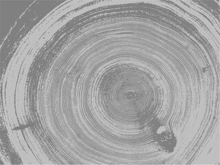 Gray ink stamp impression of end grain of wood slab. Tree rings art with texture and cracked surface.