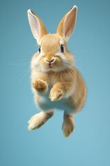 Obraz premium Adorable rabbit captured mid-jump with a calm blue background, showcasing its playful nature and lively personality.