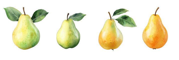 Watercolor pears with leaves: detailed botanical art of four vibrant fruits png
