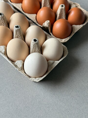 Brown and white chicken eggs in a paper trays top view