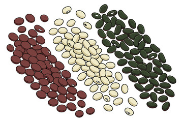  A photograph of a collection of various beans arranged in a row on a white background. From left to right red lentils, split peas, green peas, black beans, and kidney beans. The beans are spread out 