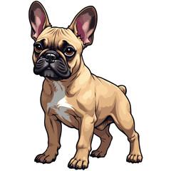 French Bulldog (French: Bouledogue Français) on a white background Illustration graphic comic art