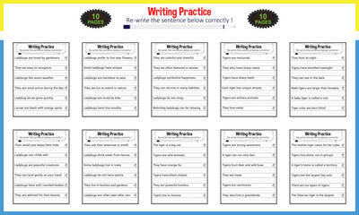 Make a Sentence Activity Worksheet