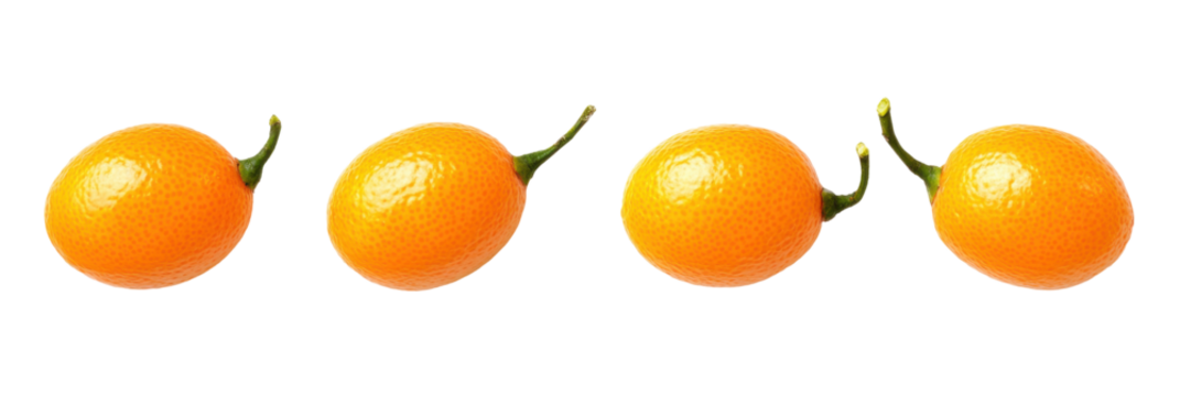Four bright kumquats with green stems aligned horizontally on transparent background png