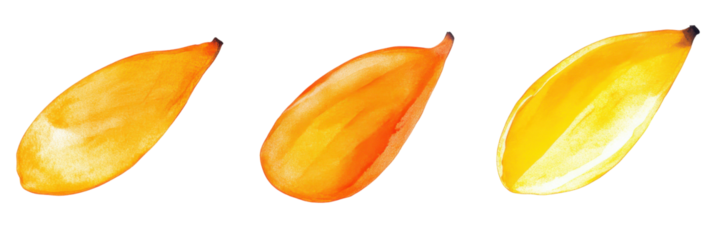 Drei Aquarell-Mangoblätter in verschiedenen Orange- und Gelbtönen auf transparentem Hintergrund png
